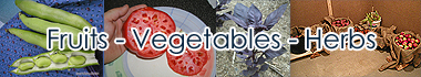 Fruits - Berries - Vegetables - Herbs