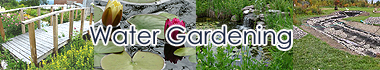 Water Gardening - Backyard Pond - Building Pond
