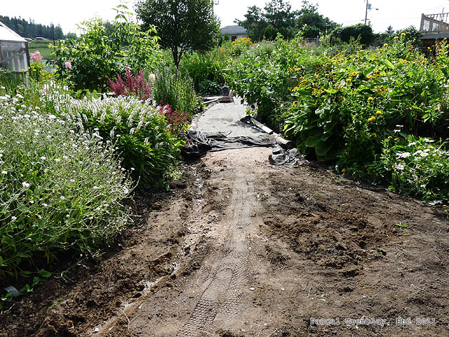 Un chemin dans mon jardin - Courbe dans la conception d'alles de jardin - Jardin anglais