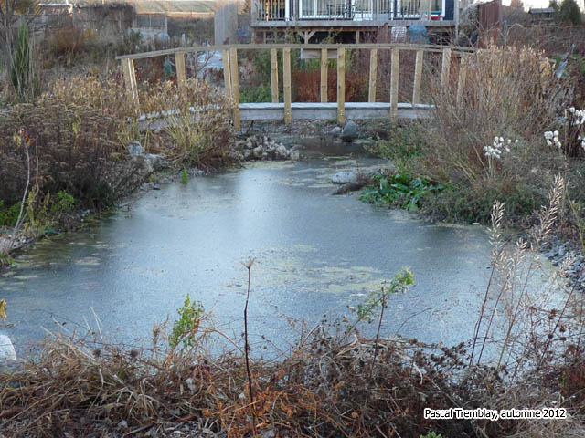 Construction d'un systme antigel pour hivernation bassin - Pond De-icer 