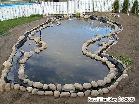 Les bassins de jardin en béton