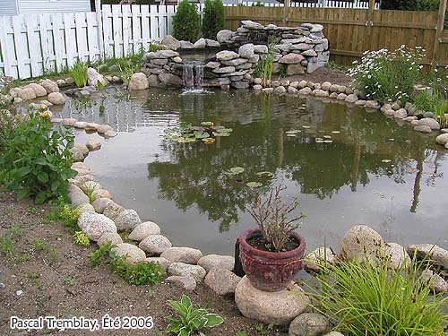 Construire un Bassin de Jardin ou Étang de Jardin - Filtres Bassin
