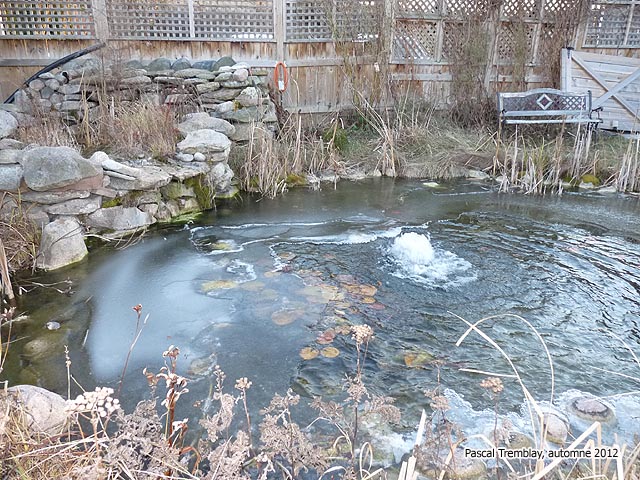 Systme antigel pour bassin aquatique - dglaceur pour jardin aquatique - Conserver ses poissons l'hiver au jardin d'eau