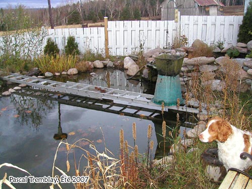 Systme antigel pour jardin d'eau - Pond De-icer - Hivernation des poissons
