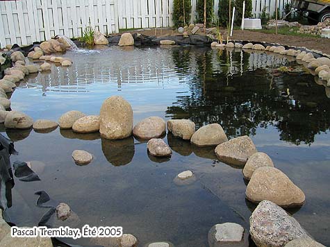 Construire un Étang ou Bassin Extérieur au Jardin Aquatique