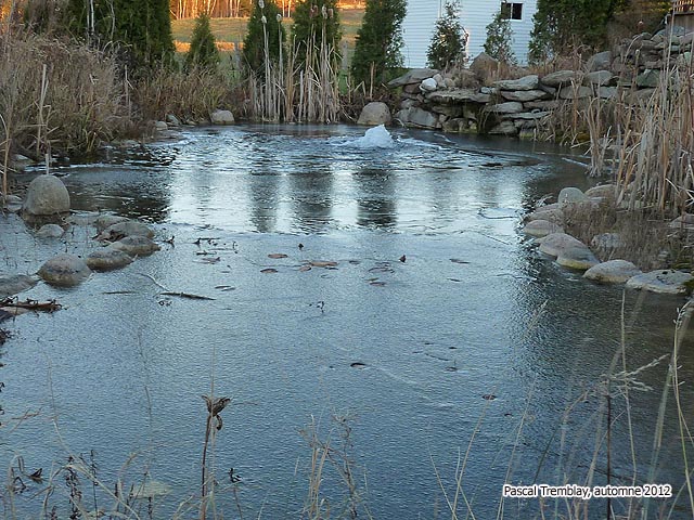 Systme antigel bassin - Pond de-icer - Construction tang -  tang gel