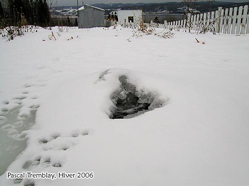 Systme d'hivernation antigel bassin extrieur - Winterizing Pond De-Icer System