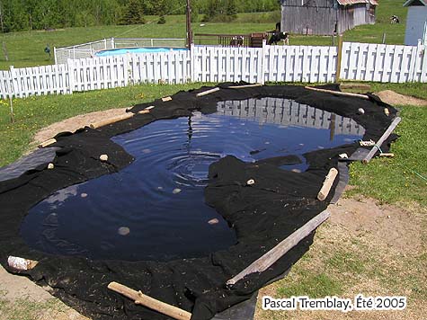 Remplir l'tang - Comment contruire un bassin ou jardin d'eau / Toile gotextile