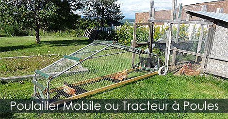 Construction d'un tracteur à poules - Conseils Instructions pour construire un poulailler mobile - Plan de tracteur à poules