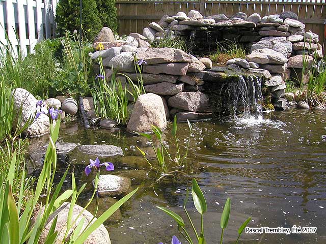 Installation d'un étang de jardin : que choisir ?