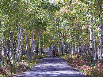 Camping Vélo Pointe Taillon